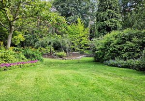 Optimiser l'expérience du jardin à Kingersheim